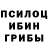 Галлюциногенные грибы мухоморы Sarvinoz Sagdullayeva