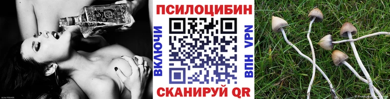 Галлюциногенные грибы мухоморы  Купить закладки  Данков 